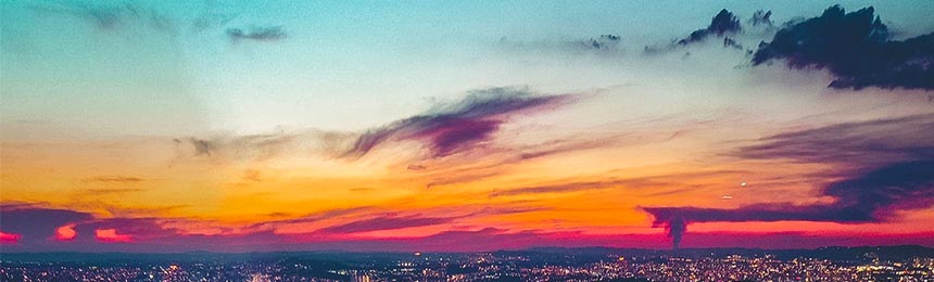 武夷山茶虫网_武夷山品茶